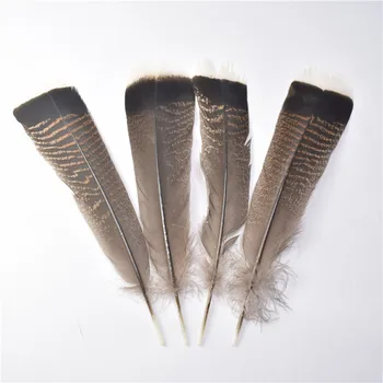Fierbinte de vânzare naturale Vultur pene de pasăre 10-50pcs/lot25-30cm de înaltă Calitate, cu pene de Vultur pentru a meserii diy bijuterii decor pene